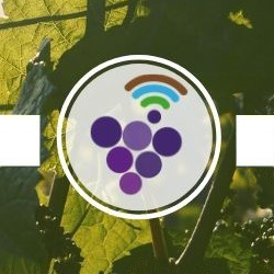 Precision agriculture to know intra-parcel variability and optimize vineyard management