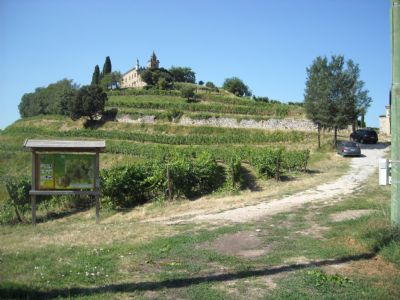  Franciacorta