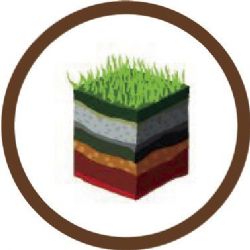 Soil4wine project