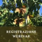 Le registrazioni del Webinar relative a conservazione del suolo, variabilità in vigneto e potatura tardiva sono ora disponibili (a fine articolo)