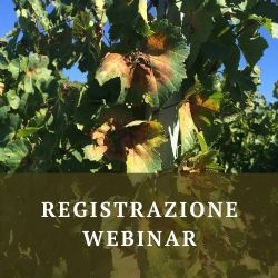 Le registrazioni del webinar relative al contesto del progetto e all'ottimizzazione del fattore 